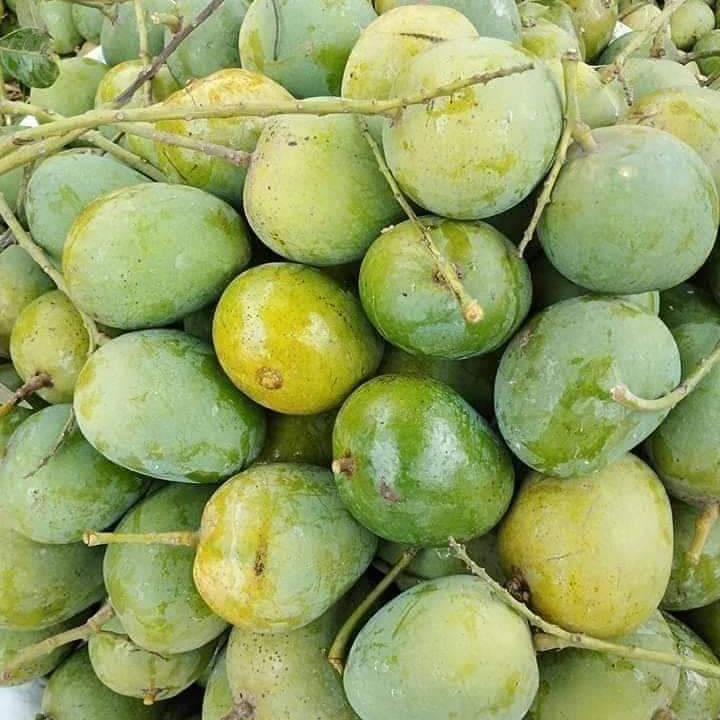 Mango